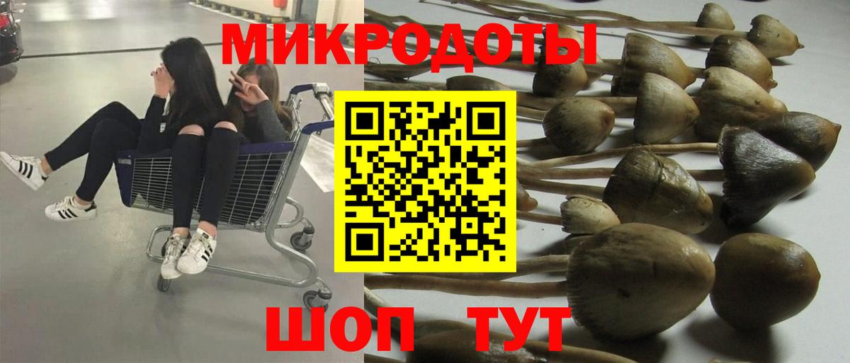 Йошкар-Ола  Псилоцибиновые грибы Cubensis  Вход с VPN 